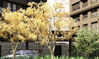 Imagem 2: Apartamento à venda no bairro Ibirapuera - São Paulo/SP