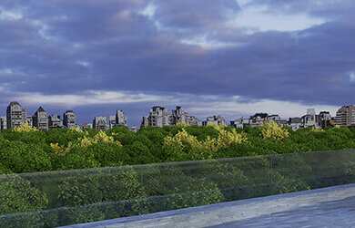 Imagem 11: Casa Jardim Teviot