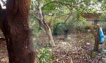 Imagem 3: CASA NO ALTO SANTA IZABEL EM CASA AMARELA