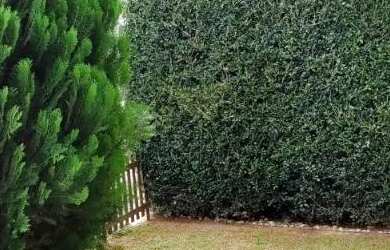 Imagem 4: Duplex Porto Rico