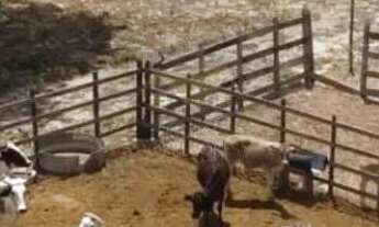 Imagem 3: Fazenda MACAIBA, 5 dormitórios na Rua Maria De Souza Barrozo