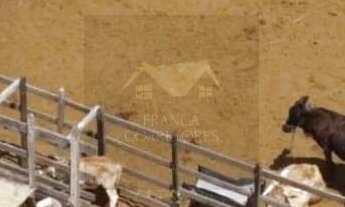 Imagem 5: Fazenda MACAIBA, 5 dormitórios na Rua Maria De Souza Barrozo