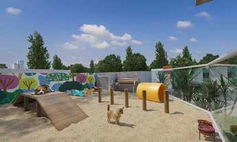 Imagem 5: DOMUS AUGUSTO LINS E SILVA