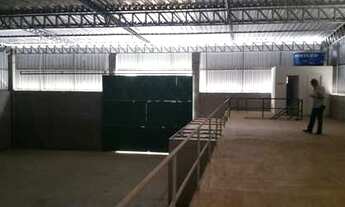 Imagem 5: GALPÃO BR 101 NORTE (NOVO