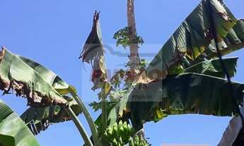 Imagem 5: Casa à Venda em Neópolis