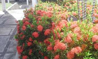 Imagem 2: Apartamento à Venda em Capim Macio