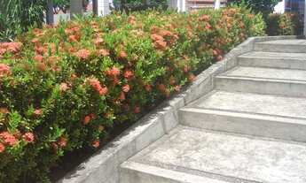 Imagem 3: Apartamento à Venda em Capim Macio