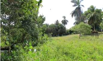 Imagem: Terreno/Loteamento à Venda em Vida Nova