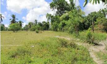 Imagem 2: Terreno/Loteamento à Venda em Vida Nova