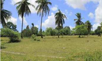 Imagem 3: Terreno/Loteamento à Venda em Vida Nova