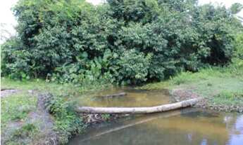 Imagem 4: Terreno/Loteamento à Venda em Vida Nova