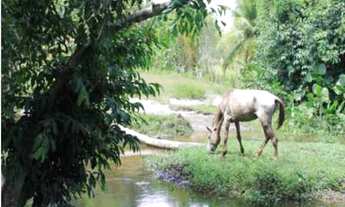 Imagem 5: Terreno/Loteamento à Venda em Vida Nova