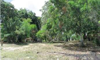 Imagem 6: Terreno/Loteamento à Venda em Vida Nova