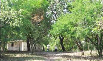 Imagem 7: Terreno/Loteamento à Venda em Vida Nova