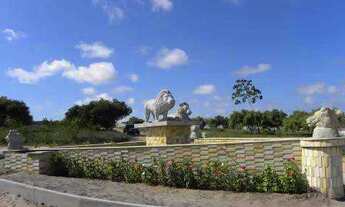 Imagem: Terreno/Loteamento à Venda em Piúm