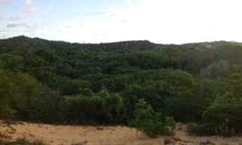 Imagem: Terreno/Loteamento à Venda em Pium