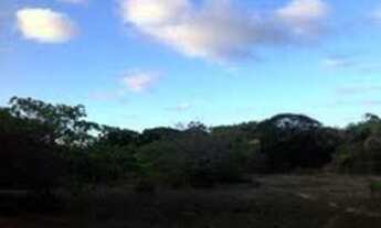 Imagem 2: Terreno/Loteamento à Venda em Pium