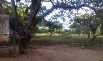 Imagem 6: Terreno/Loteamento à Venda em Pium