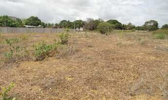 Imagem 2: Terreno/Loteamento à Venda em São José de Mipibu