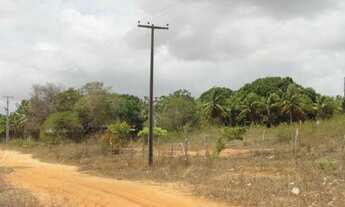 Imagem 4: Terreno/Loteamento à Venda em São José de Mipibu
