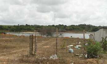 Imagem 5: Terreno/Loteamento à Venda em São José de Mipibu