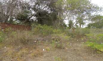 Imagem 6: Terreno/Loteamento à Venda em São José de Mipibu