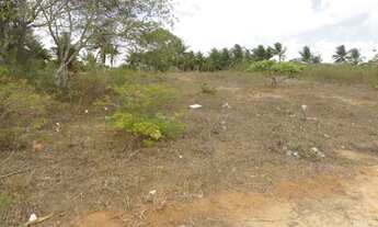 Imagem 7: Terreno/Loteamento à Venda em São José de Mipibu