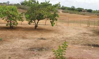 Imagem 3: Terreno/Loteamento à Venda em São José de Mipibu
