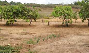 Imagem 4: Terreno/Loteamento à Venda em São José de Mipibu
