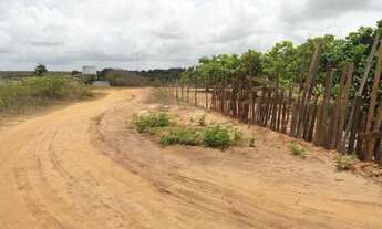 Imagem 7: Terreno/Loteamento à Venda em São José de Mipibu