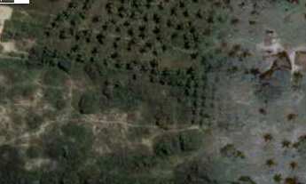 Imagem: Terreno/Loteamento à Venda em Parnamirim