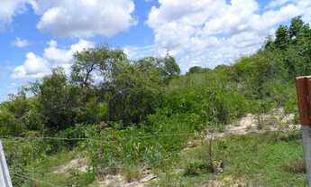 Imagem: Terreno/Loteamento à Venda em Pium