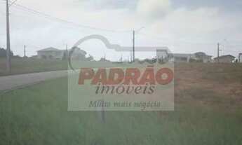 Imagem 2: Terreno/Loteamento à Venda em Pium