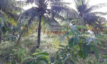 Imagem: Terreno/Loteamento à Venda em Macaíba