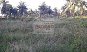 Imagem 4: Terreno/Loteamento à Venda em Macaíba