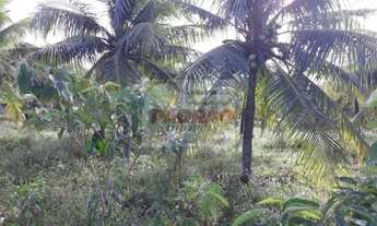 Imagem 7: Terreno/Loteamento à Venda em Macaíba