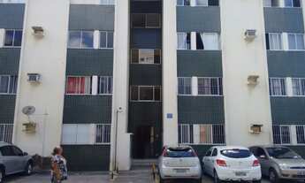 Imagem: Bosque das Palmeiras