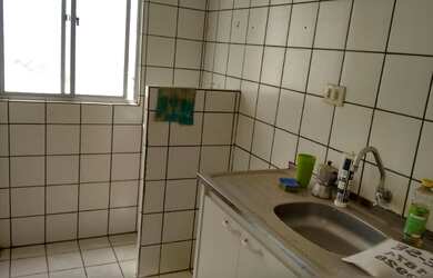 Imagem 7: Bosque das Palmeiras