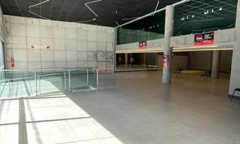 Imagem 7: Loja Comercial no Pina Antônio de goes