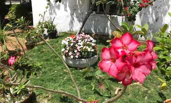 Imagem: CASA EM PIRANGI COM 06 SUÍTES