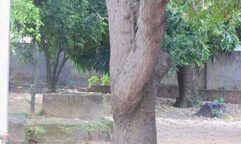 Imagem 4: Casa à Venda em Pirangi do Norte
