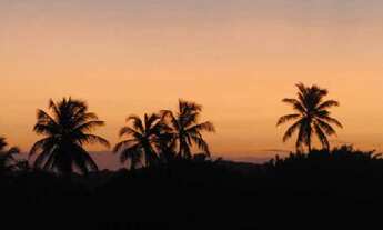 Imagem: BELISSIMA GRANJA - TEMPORADA