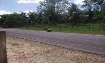 Imagem: GRANJA EM MONTE ALEGRE - 10HA - BEIRA DO