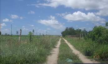 Imagem 5: GRANJA EM MONTE ALEGRE - 10HA - BEIRA DO ASFALTO