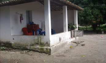 Imagem 2: GRANJA EM MONTE ALEGRE - 10HA