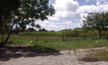 Imagem 4: GRANJA EM MONTE ALEGRE - 10HA