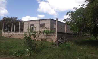 Imagem 5: GRANJA EM MONTE ALEGRE - 10HA