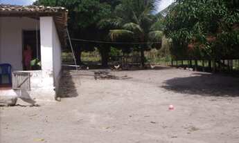 Imagem 6: GRANJA EM MONTE ALEGRE - 10HA