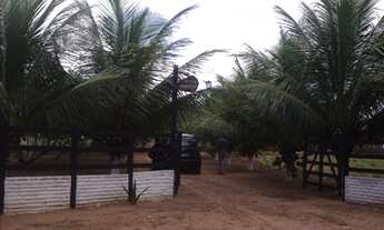 Imagem: GRANJA EM MONTE ALEGRE 13 HA C/ PISCINA