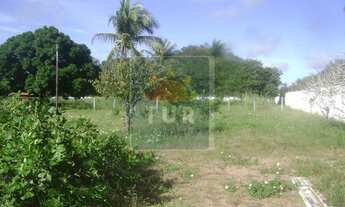 Imagem: GRANJA BOM FIM